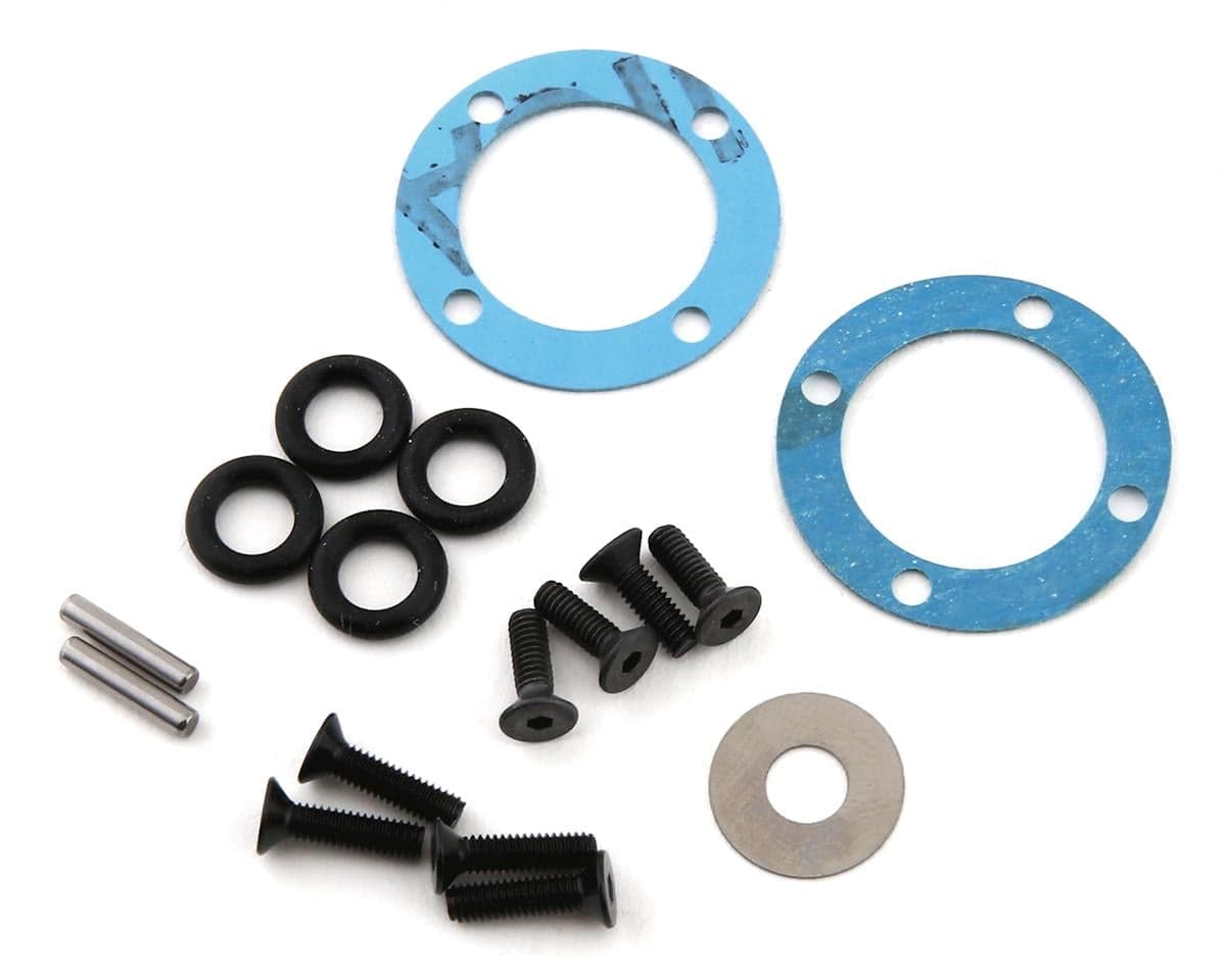 Team Losi Racing 22X-4 Differential Seal & Hardware Set
