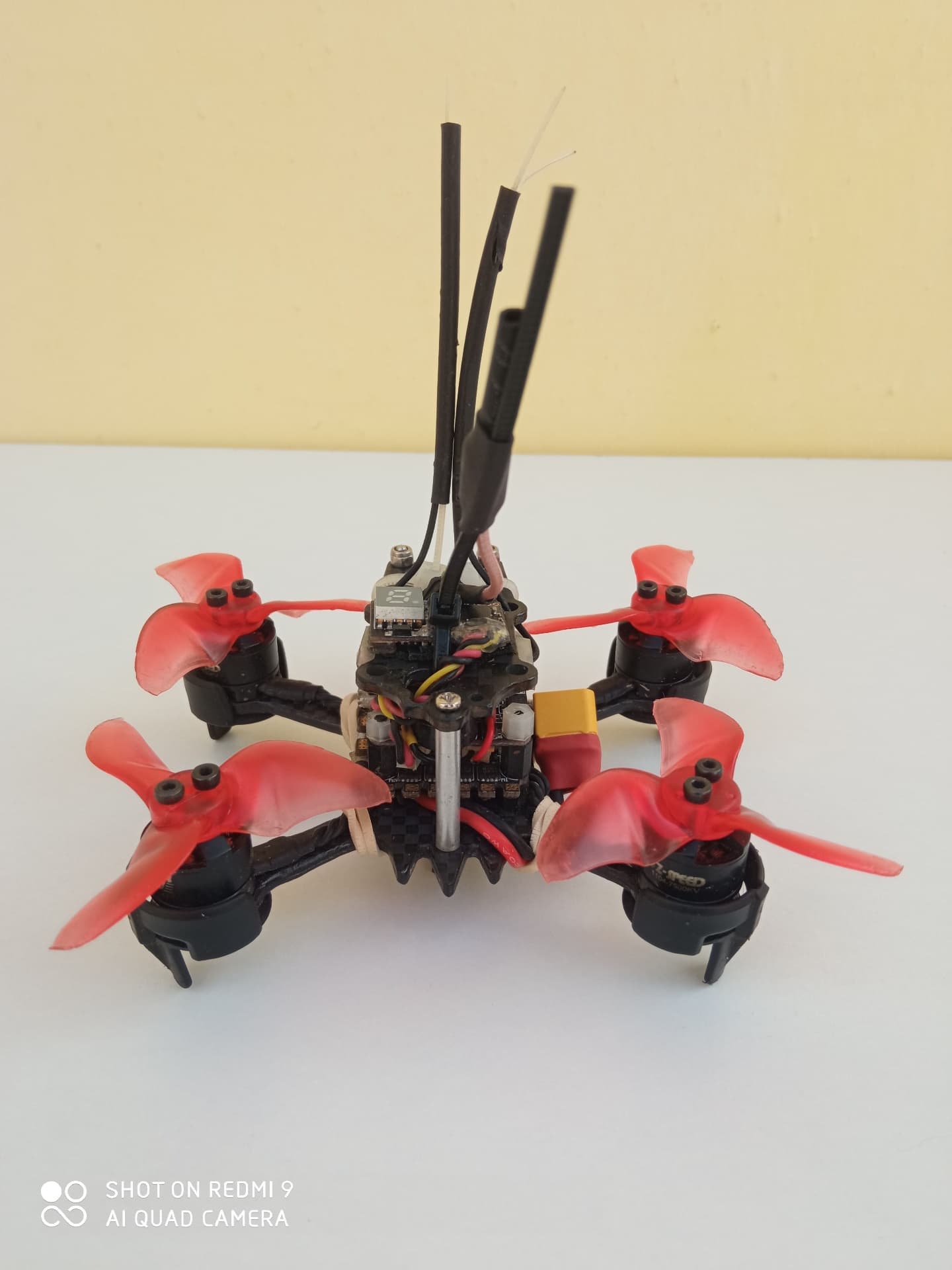 Photo 14