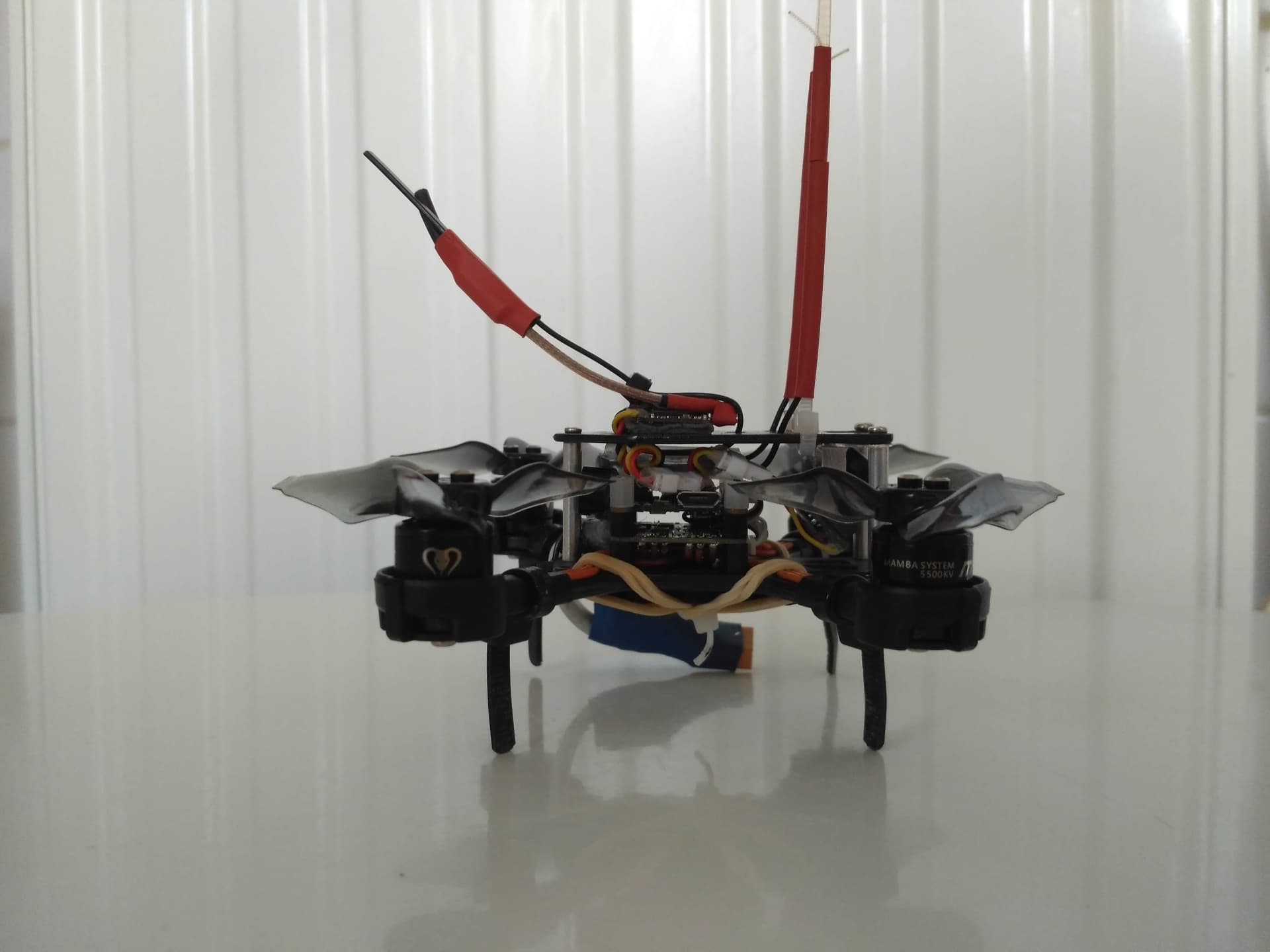 Photo 7