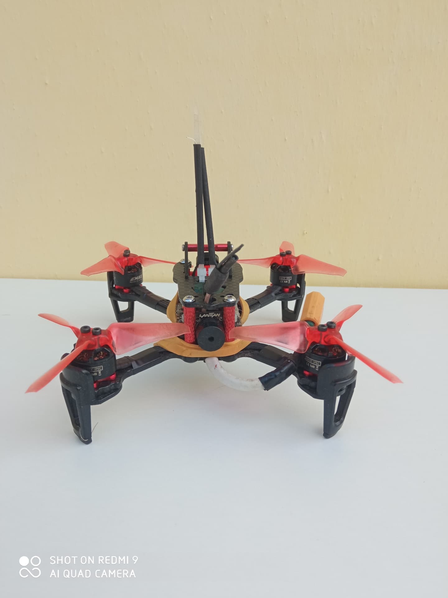 Photo 8