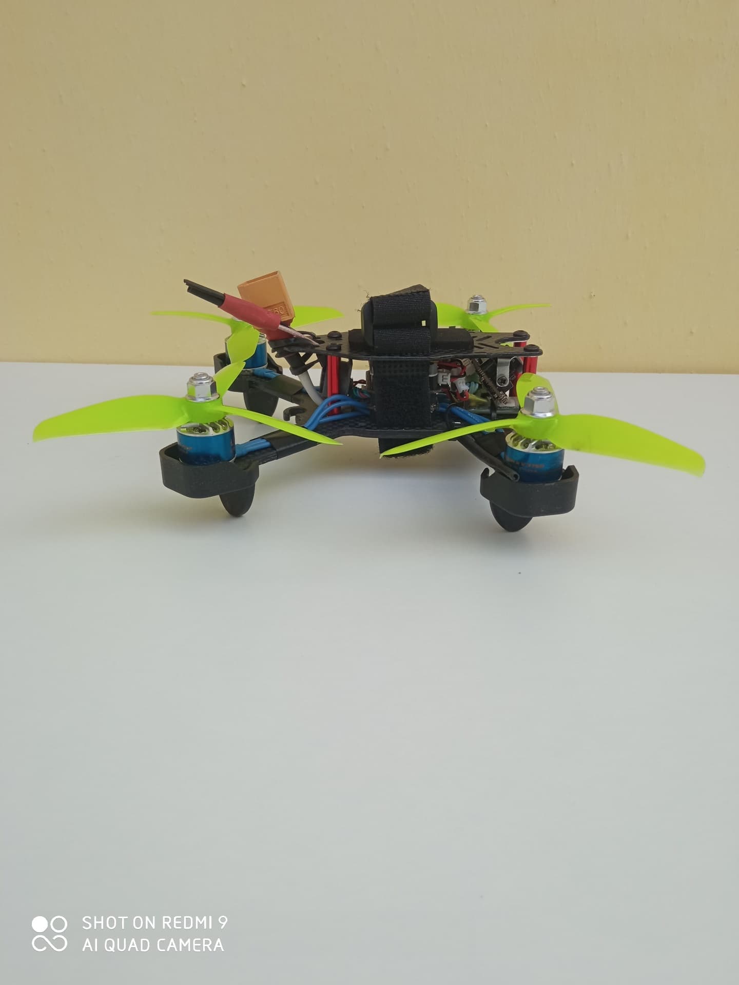 Photo 11