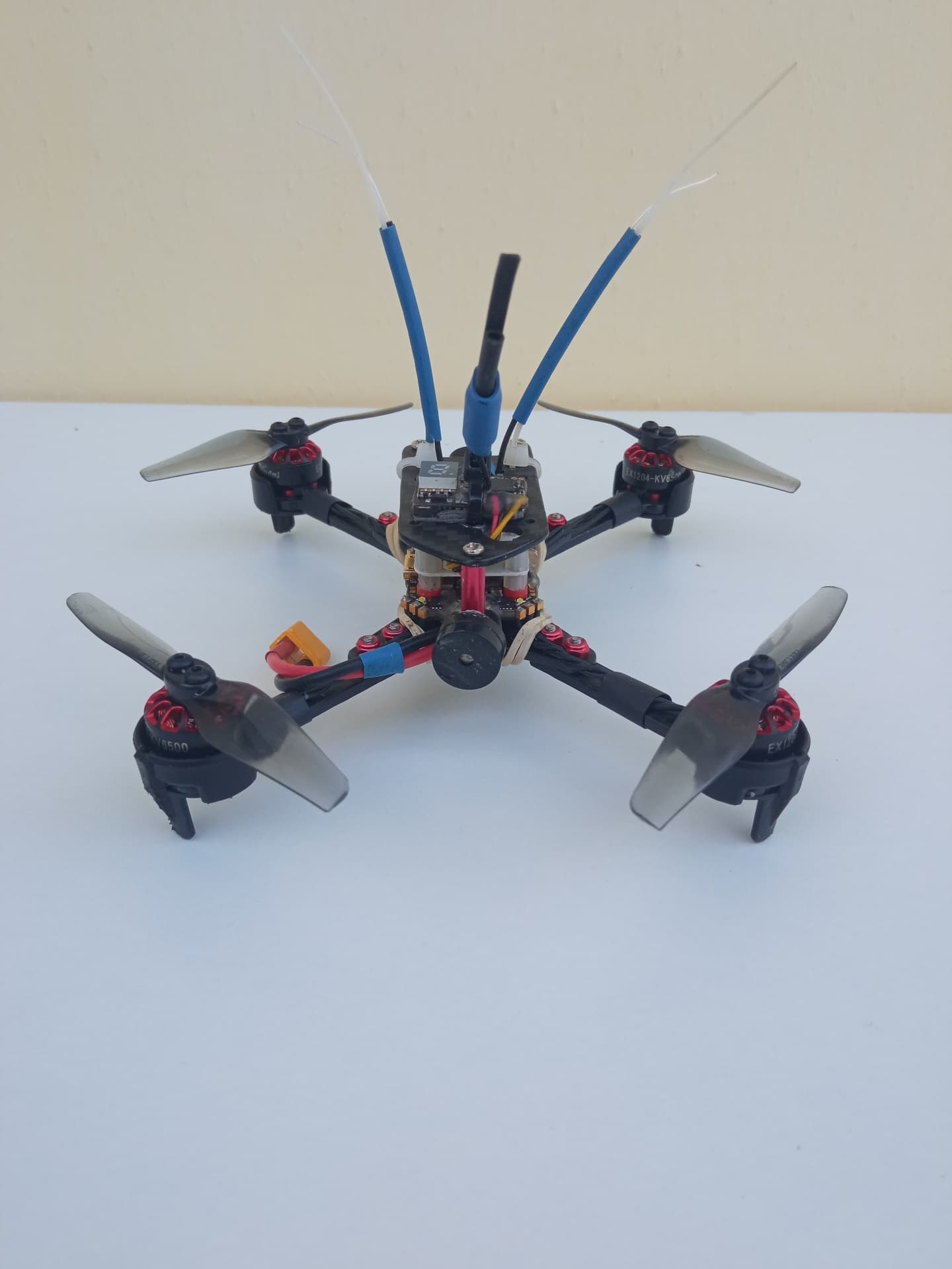 Photo 5