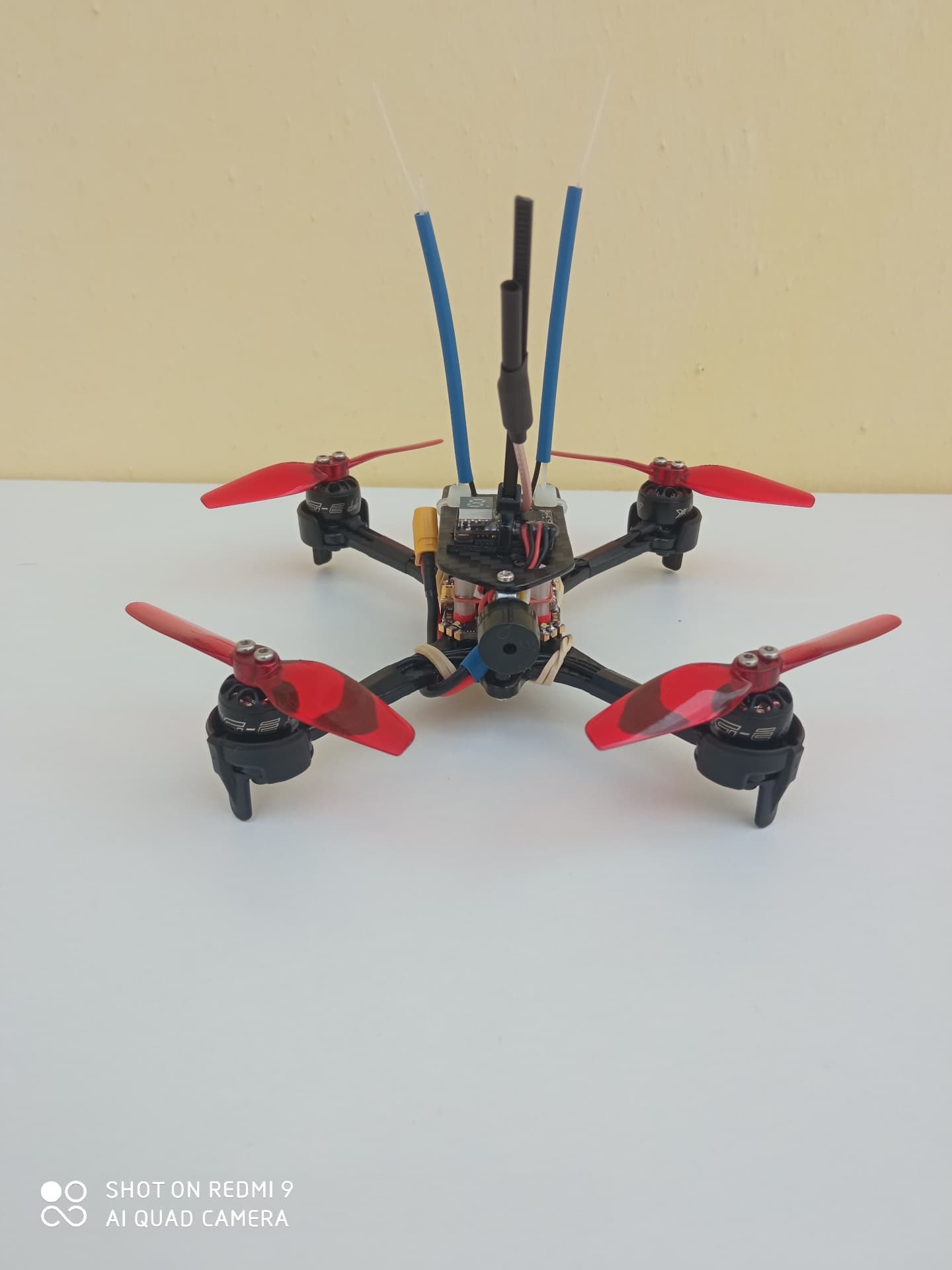 Photo 5