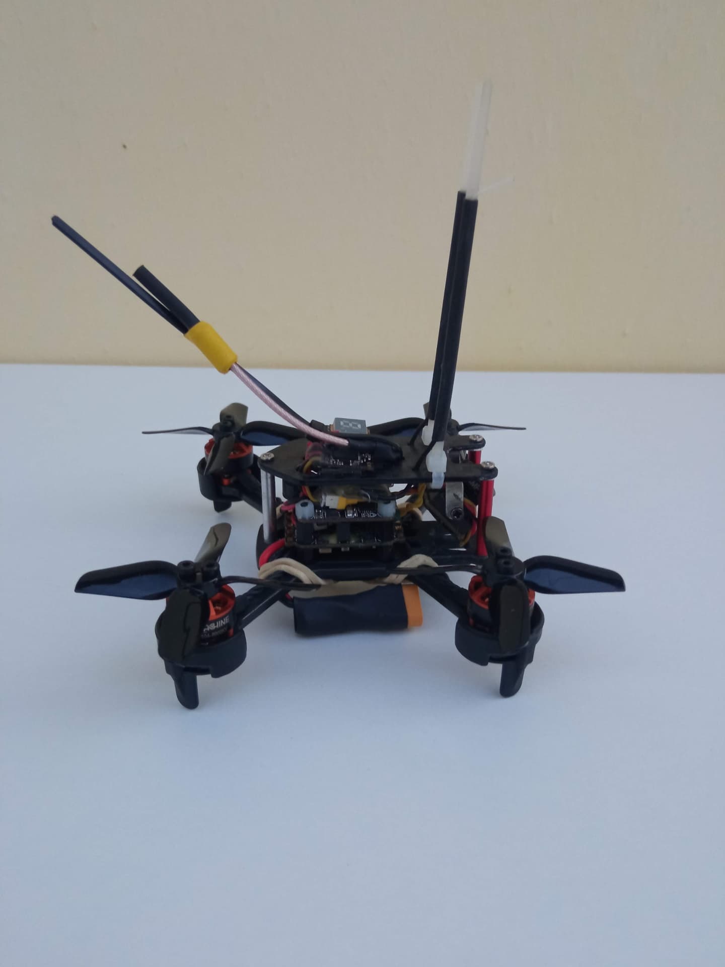 Photo 13