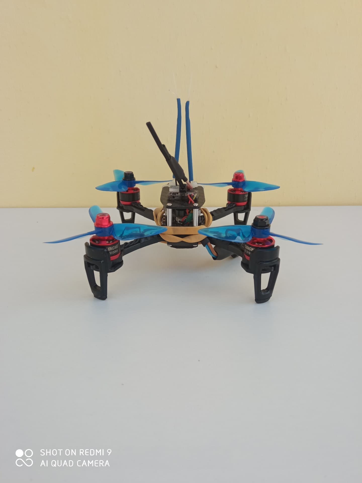 Photo 5