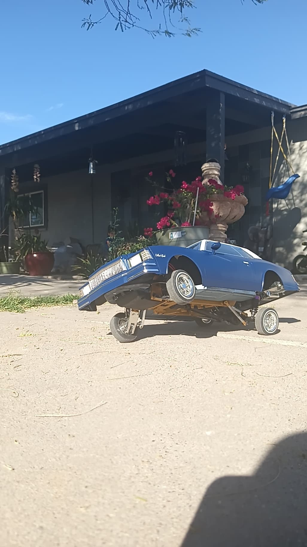 Photo 18