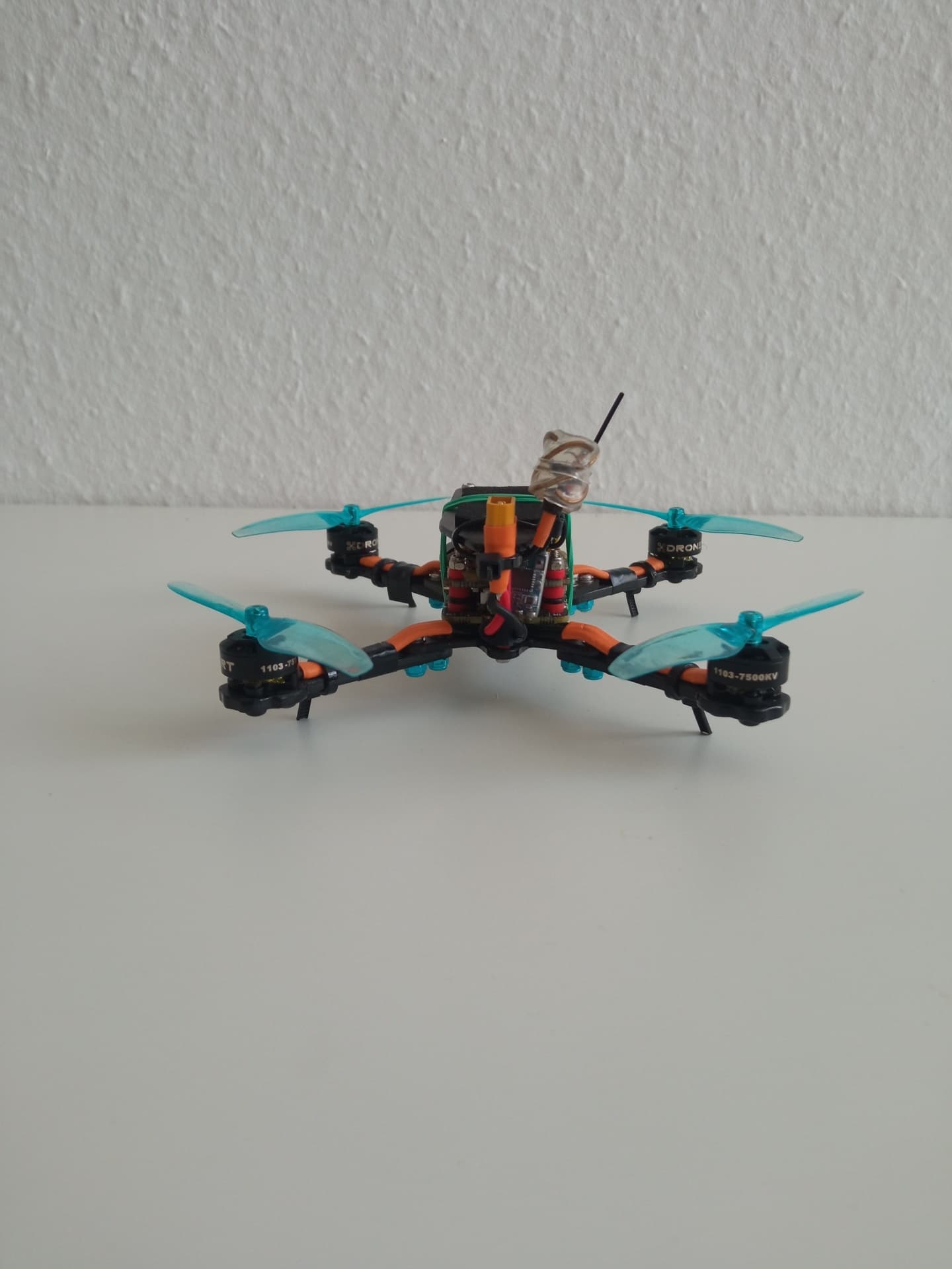 Photo 12
