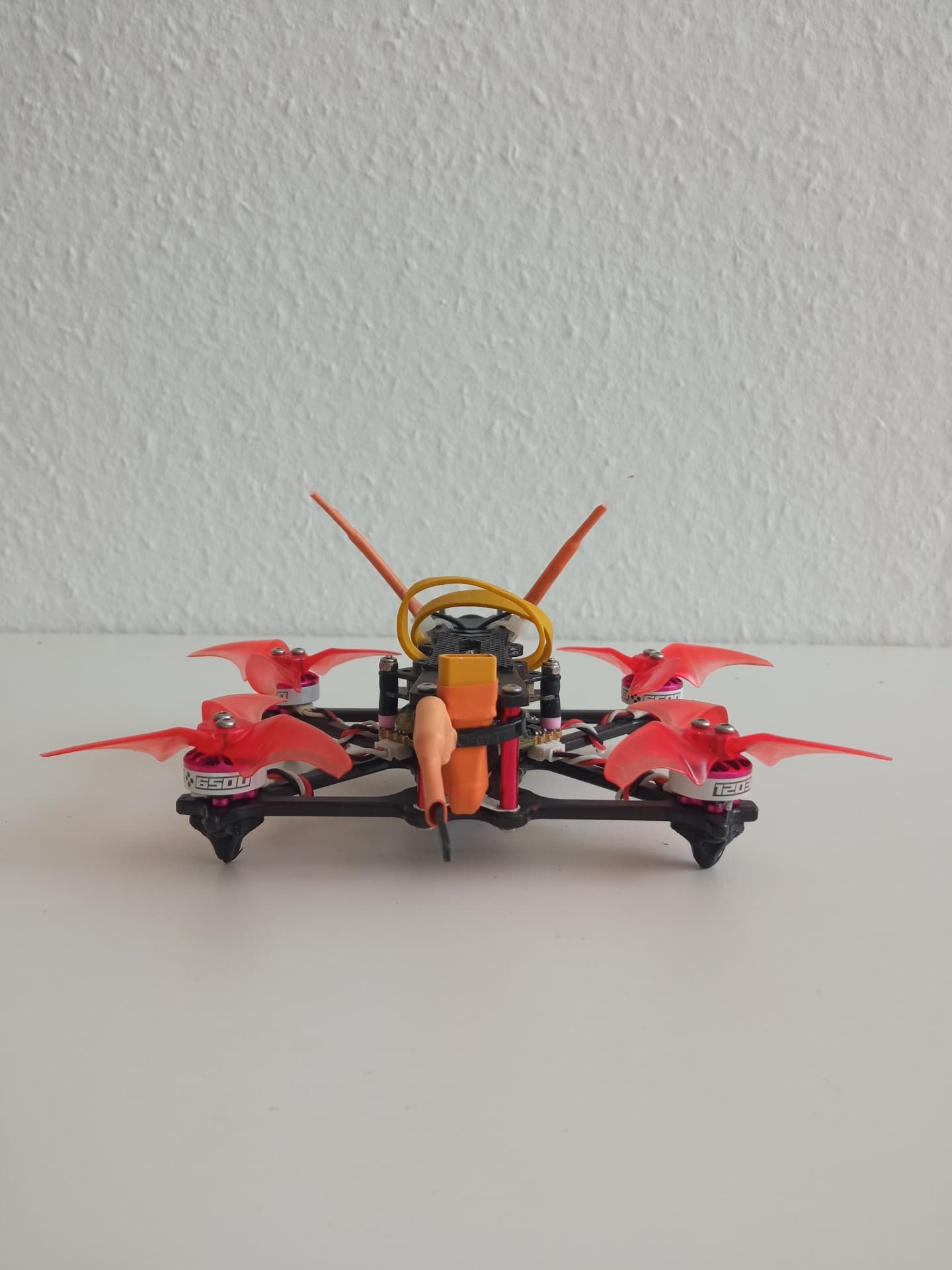 Photo 15