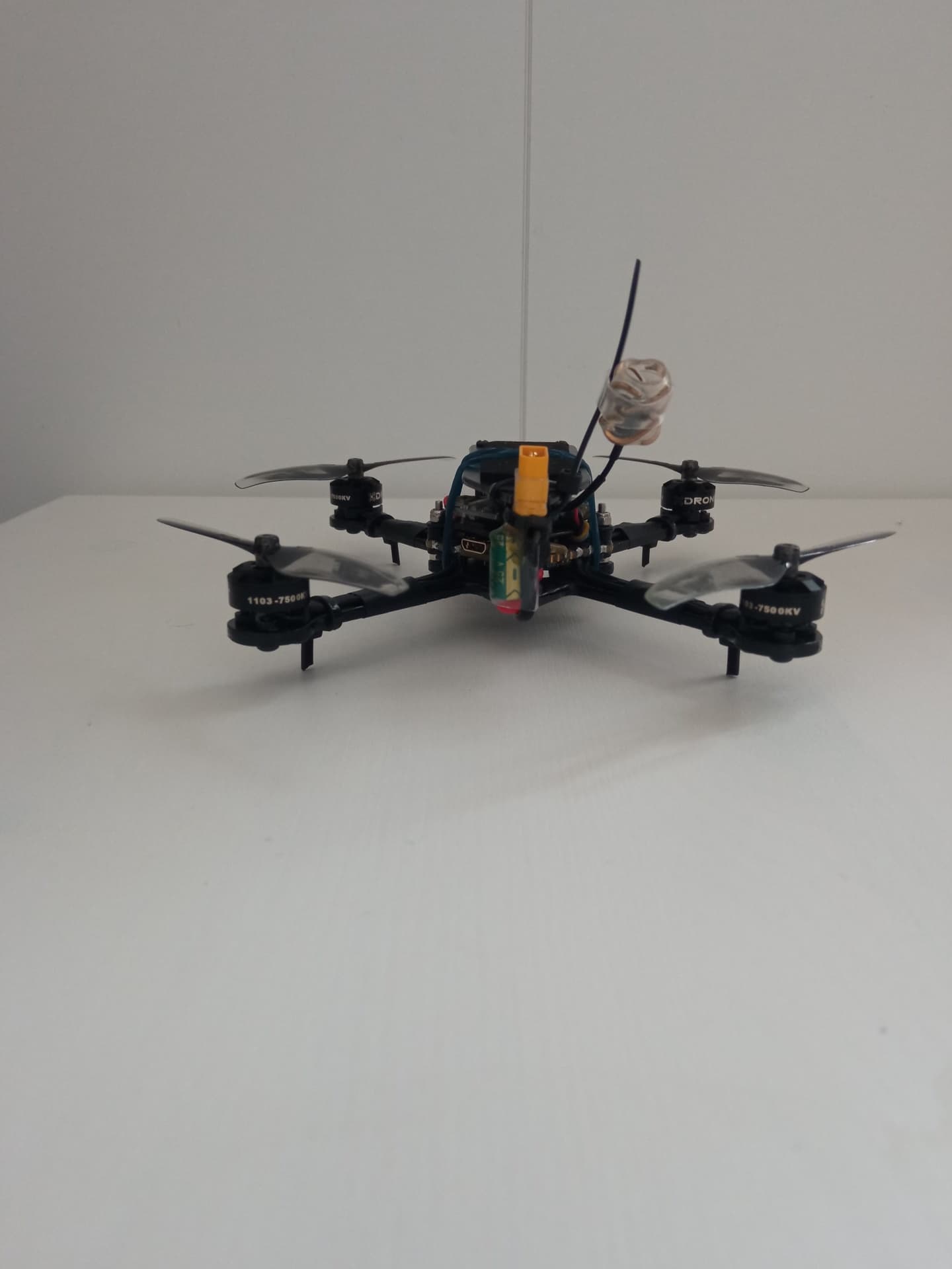Photo 12